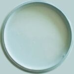 Dixie Belle Silk All In One Mineral Paint Harbor