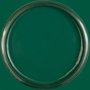 Dixie Belle Silk All In One Mineral Paint Midnight Green