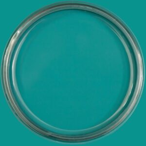 Dixie Belle Silk All In One Mineral Paint Mirage