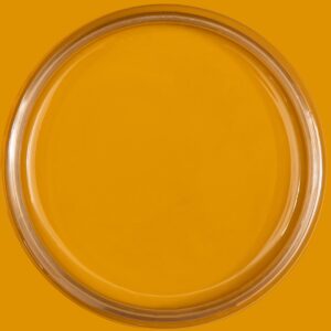 Dixie Belle Silk All In One Mineral Paint Mojave