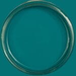 Dixie Belle Silk All In One Mineral Paint Oasis