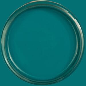 Dixie Belle Silk All In One Mineral Paint Oasis