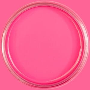 Dixie Belle Silk All In One Mineral Paint Prickly Pears