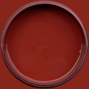Dixie Belle Silk All In One Mineral Paint Sequoia
