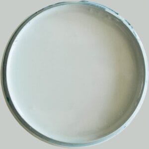 Dixie Belle Silk All In One Mineral Paint Serenity