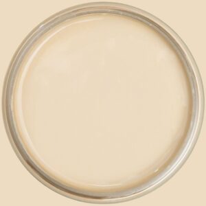 Dixie Belle Chalk Mineral Paint Burlap