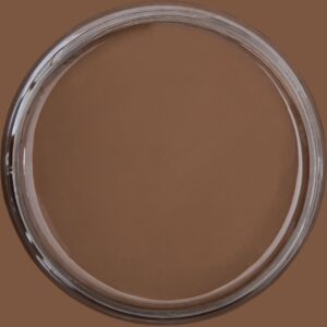 Dixie Belle Chalk Mineral Paint Chocolate