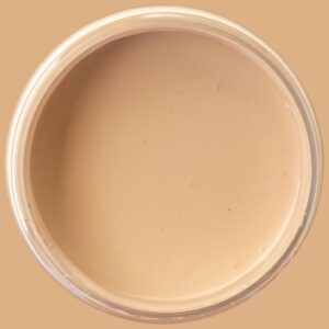 Dixie Belle Chalk Mineral Paint Cobblestone