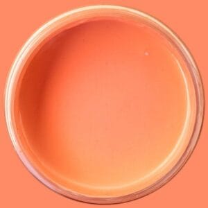 Dixie Belle Chalk Mineral Paint Cottage Door