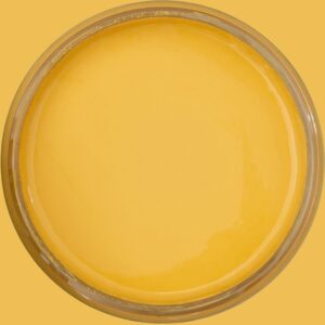 Dixie Belle Chalk Mineral Paint Daisy