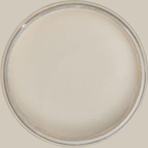 Dixie Belle Chalk Mineral Paint Dried Sage