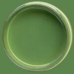 Dixie Belle Chalk Mineral Paint English Ivy