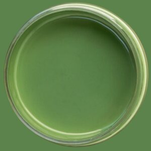 Dixie Belle Chalk Mineral Paint English Ivy