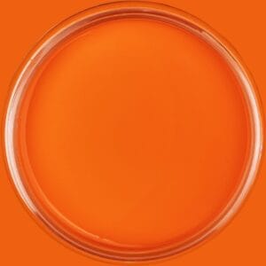 Dixie Belle Chalk Mineral Paint Florida Orange