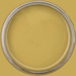 Dixie Belle Chalk Mineral Paint Holy Guacamole