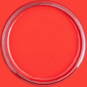 Dixie Belle Chalk Mineral Paint Honky Tonk Red