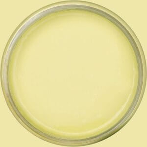 Dixie Belle Chalk Mineral Paint Limeade