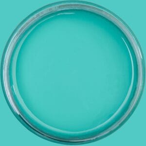 Dixie Belle Chalk Mineral Paint Mermaid Tail