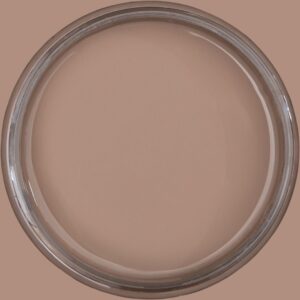 Dixie Belle Chalk Mineral Paint Mud Puddle