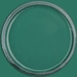 Dixie Belle Chalk Mineral Paint Palmetto