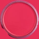Dixie Belle Chalk Mineral Paint Peony