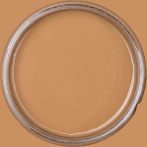 Dixie Belle Chalk Mineral Paint Pine Cone