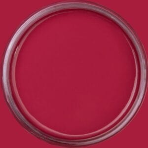 Dixie Belle Chalk Mineral Paint Plum Crazy