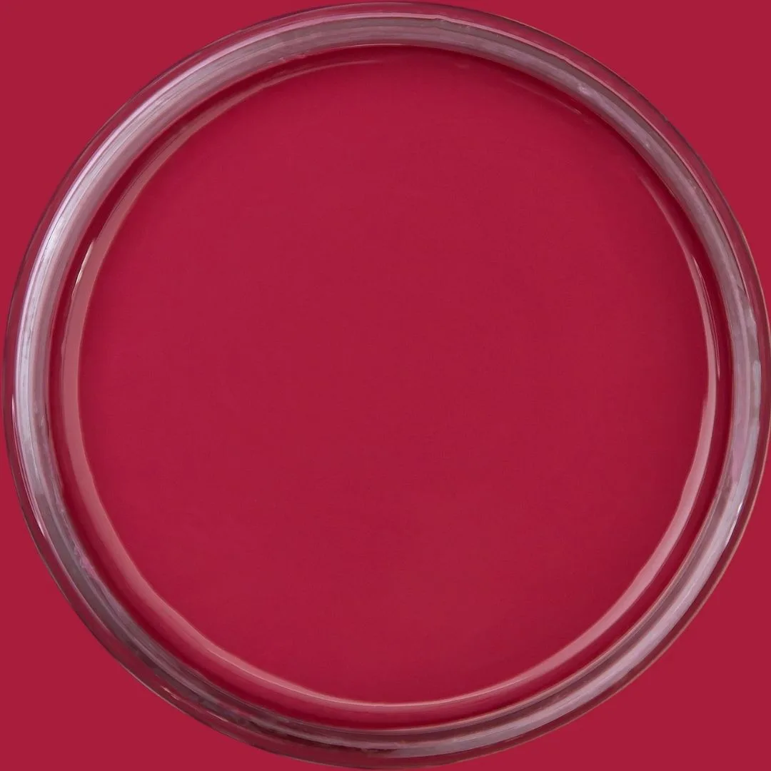 Dixie Belle Chalk Mineral Paint Plum Crazy