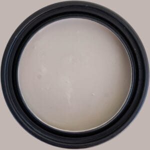 Dixie Belle Terra Clay Paint Desert Tan