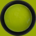 Dixie Belle Terra Clay Paint Pistachio