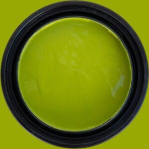 Dixie Belle Terra Clay Paint Pistachio