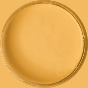 Dixie Belle Silk All-in-One-Mineralfarbe „Golden Hour“ – goldgelbe Farbe in einem offenen Farbbehälter, von oben auf gleichfarbigem Hintergrund.