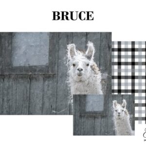 Grace on Design Decoupage Papier „Bruce“