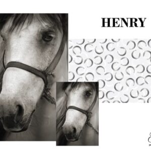Grace on Design Decoupage Papier „Henry“